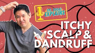 Dr Sugai Explains Itchy Scalp and Dandruff What Shampoos to Consider [upl. by Ecirtnahc]