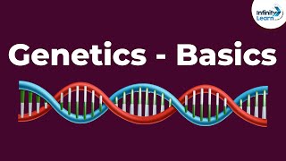 Genetics Basics  Introduction  Dont Memorise [upl. by Lauri]