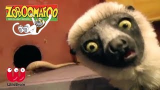 Zoboomafoo  Lemur meets slithering snakes  Episode Animals for Kids [upl. by Lundquist152]