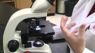 Introduction to the Light Microscope [upl. by Ellimahs]