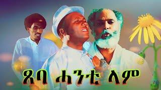 Abera Beyene  Tseba Hanti lam  Eritrean Tigrigna Music 2020 [upl. by Muryh]