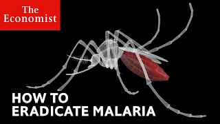 How to defeat malaria [upl. by Ydurt902]