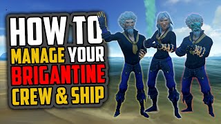 Sea of Thieves How to Brigantine Crew Management [upl. by Adlev335]