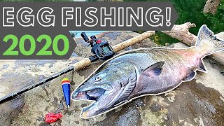 Salmon Fishing 2020  Drifting Eggs for Chinook  4K [upl. by Heather539]