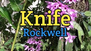 KNIFE  Rockwell Lyrics Video [upl. by Marjy]