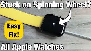 All Apple Watches Stuck on Spinning Wheel Try this First [upl. by Tyika835]