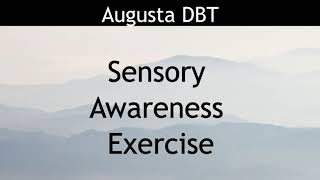 Sensory Awareness Exercise Distress Tolerance [upl. by Inness]