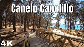 Playa Canelo Canelillo Algarrobo [upl. by Jonis]