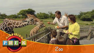 Zoo  Virtual Field Trip  KidVision PreK [upl. by Mairym381]