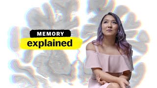 Memory Explained  FULL EPISODE  Vox  Netflix [upl. by Keven]