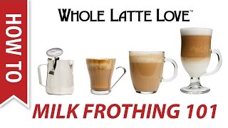 Milk Frothing for Beginners [upl. by Essenaj]