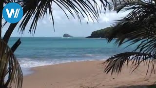 Guadeloupe traveldocumentary from the season quotCaribbean Momentsquot [upl. by Alrak124]