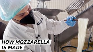 How One of the Worlds Biggest Mozzarella Distributers Makes its Cheese — Vendors [upl. by Fenton]