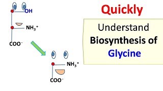 Glycine biosynthesis [upl. by Blessington157]