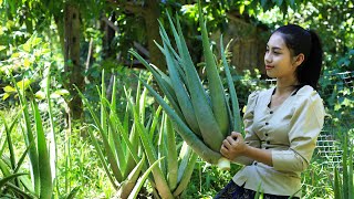 Cooking Aloe Vera Plant in my homeland  Polin Lifestyle [upl. by Olnay352]