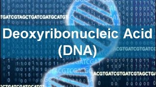 Deoxyribonucleic Acid DNA [upl. by Ledif924]