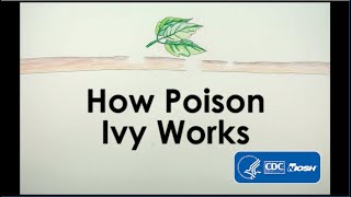 How Poison Ivy Works [upl. by Consuela]