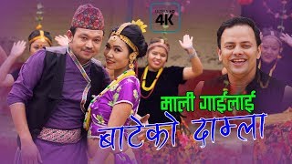 New Nepali lok dohori song  Mali gailai bateko damla  Dolma Lamichhane Magar amp Prem Sharma 4K [upl. by Margette]