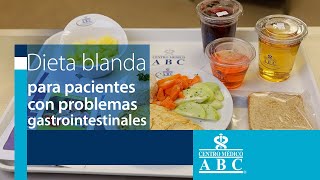 Dieta blanda para pacientes con problemas gastrointestinales [upl. by Cates187]