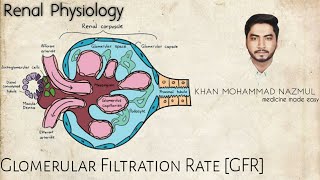 Glomerular Filtration Rate GFR  renal physiology  বাংলা [upl. by Gnov]