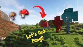 How to Grow Mushrooms in Minecraft [upl. by Mcgray]