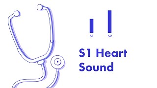 S1 Heart Sound  Learn How to Auscultate Part 8 [upl. by Eurd]