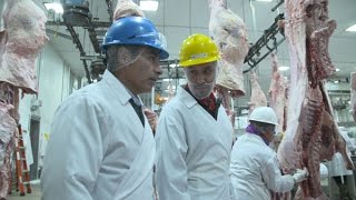 Washington Grown Inside a Beef Slaughter Facility [upl. by Alleris]