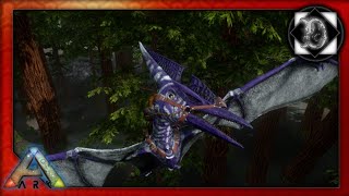 Taming a High Level Pteranodon Best spawn locations [upl. by Mak678]