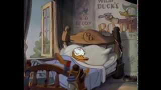 Donald Duck Cartoons Full Episodes [upl. by Kora]