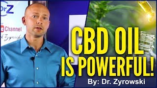 The BENEFITS Of CBD Oil For ANXIETY amp DEPRESSION  Dr Nick Z [upl. by Colly]