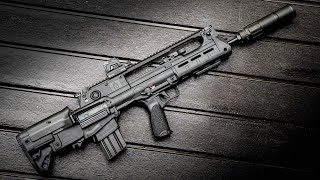 Springfield Armory Hellion  1 Year Review [upl. by Raddie]