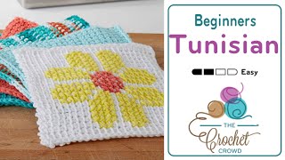 Tunisian for Beginners  The Crochet Crowd [upl. by Neill]