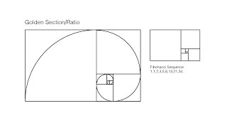 How To Draw Golden Rectangle Fibonacci Sequence  Render the golden ratiomean in Adobe Illustrator [upl. by Nahtanha241]