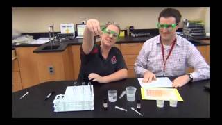 Enzyme lab introduction [upl. by Abbub429]