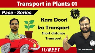 Transport in Plants 01 Short Distance Transport  Class 11  NEET Pace Series [upl. by Rebeka]