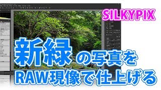 新緑の写真をSILKYPIXでRAW現像【調整のポイントなど】 [upl. by Clarisse]