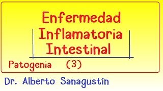 Enfermedad inflamatoria intestinal 3 patogenia [upl. by Olihs476]