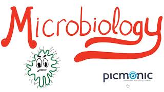 Microbiology Part 1 Introduction  Actinomyces israeli Listeria Diphtheria Nocardia  Picmonic [upl. by Nessnaj]