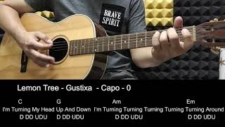 Lemon Tree  Gustixa  Guitar Tutorial cover with Chords amp Lyrics [upl. by Babbie]