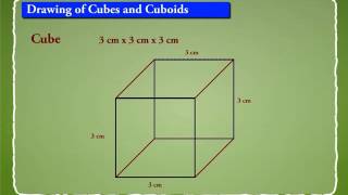 Drawing of Cubes and Cuboids [upl. by Linus]