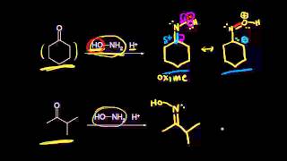 Formation of oximes and hydrazones  Aldehydes and ketones  Organic chemistry  Khan Academy [upl. by Thetisa]