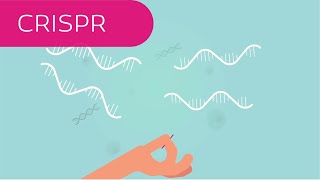 The CRISPRCas9 System Part 1 [upl. by Machute]