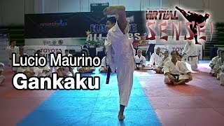 Lucio Maurino teaching Kata Gankaku  Karate All Stars 2013 [upl. by Felipa]