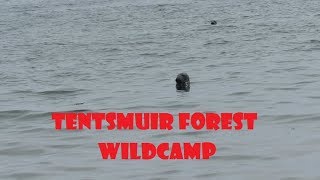 Wild Camping Tentsmuir Forest [upl. by Rez912]