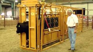 Sioux Steel Squeeze Chute  LivestockShed [upl. by Mannuela448]