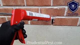 Rodent Proofing Weep Hole on Brick [upl. by Aldridge984]