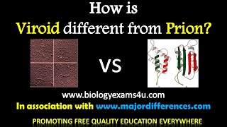 5 Differences between Viroids and Prions Viroids vs Prions in 5 minutes [upl. by Nahpos]