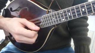 Learn To Play Tremolo  Mandolin Lesson [upl. by Jeannette]