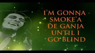 bob marley  ganja gun lyrics [upl. by Whang]