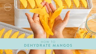 How to Dehydrate Mango  Luvele Breeze Dehydrator [upl. by Atiuqram]